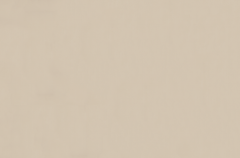 Emser Expanse 39" X 59" Matte Solo Beige