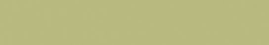 Emser Expanse 20" X 118" Matte Solo Lime