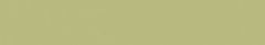 Emser Expanse 20" X 118" Matte Solo Lime