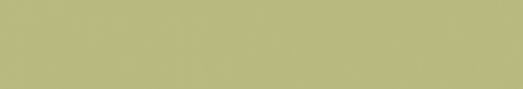 Emser Expanse 24" X 142" Matte Solo Lime