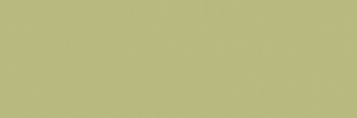 Emser Expanse 39" X 118" Matte Solo Lime