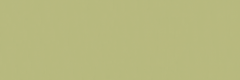Emser Expanse 39" X 118" Matte Solo Lime