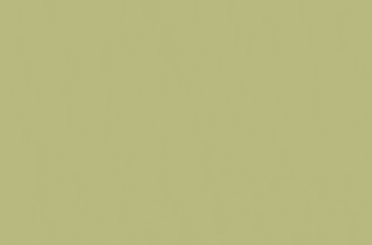 Emser Expanse 39" X 59" Matte Solo Lime