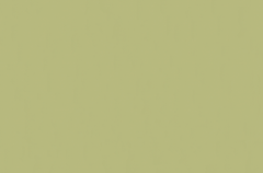 Emser Expanse 39" X 59" Matte Solo Lime