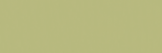 Emser Expanse 47" X 142" Matte Solo Lime