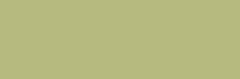Emser Expanse 47" X 142" Matte Solo Lime