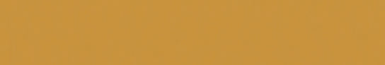 Emser Expanse 20" X 118" Matte Solo Pumpkin