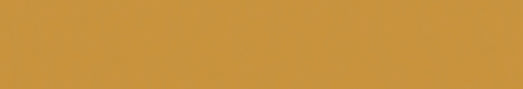 Emser Expanse 24" X 142" Matte Solo Pumpkin