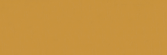 Emser Expanse 47" X 142" Matte Solo Pumpkin