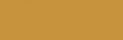 Emser Expanse 47" X 142" Matte Solo Pumpkin