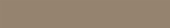 Emser Expanse 20" X 118" Matte Solo Taupe