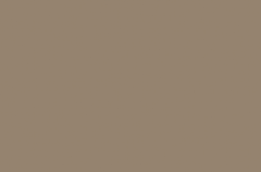 Emser Expanse 39" X 59" Matte Solo Taupe