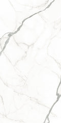 Emser Expanse 63"x126" Polished Venato White