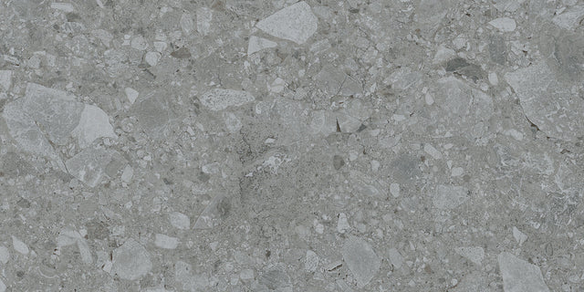 Emser Fixt Stone 12"x24" Matte Dark Gray