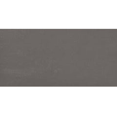 Daltile Fixture 12" X 24" Matte Fog
