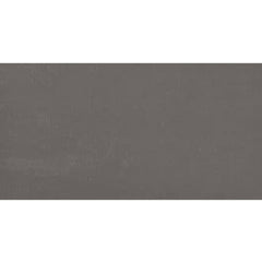 Daltile Fixture 24" X 48" Matte Fog