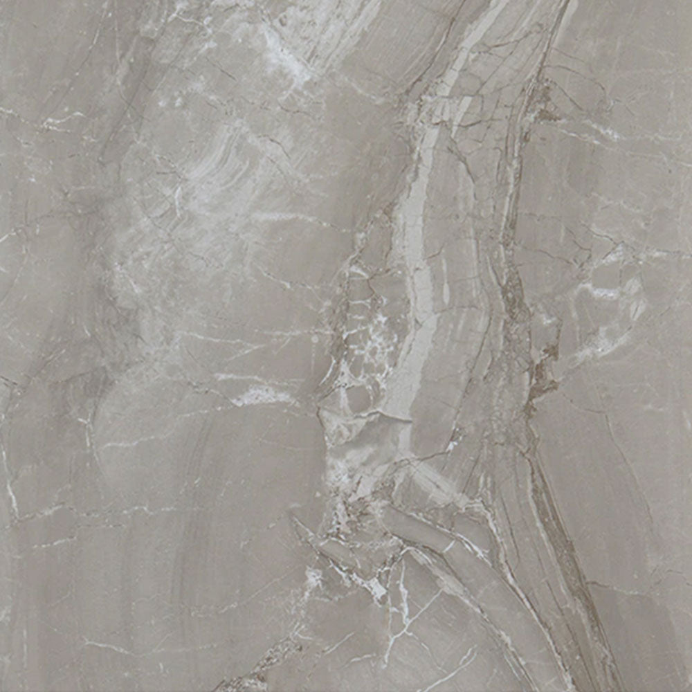 Daltile Famed 24" X 24" Polished Fortune