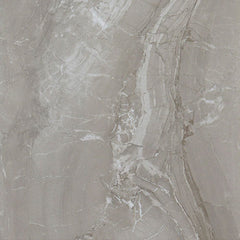 Daltile Famed 24" X 24" Polished Fortune