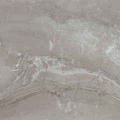 Daltile Famed 24" X 24" Matte Fortune