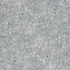 Emser Fragmento LG 24"x24" Matte Silver Large Speckle