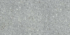 Emser Fragmento SM 12"x24" Matte Silver Small Speckle