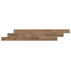 Daltile Acreage 8" X 48" Matte Stetson