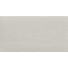 Daltile Fixture 24" X 48" Polished Glacier