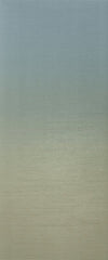 Emser Spectra 20" X 47" Matte Borealis