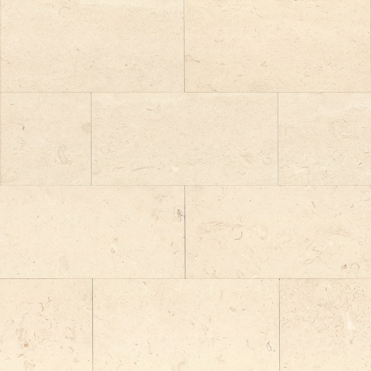Bedrosians Limestone 12" X 24" Corinthian White