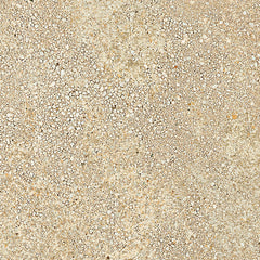 Emser Levata 23" X 23" Brushed Slim Beach