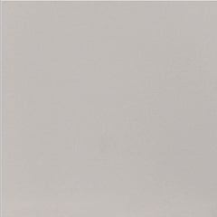 Daltile Median 24" X 24" Polished Light Gray