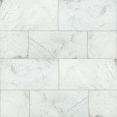 Bedrosians Marble 12" X 24" Polished Glorious White