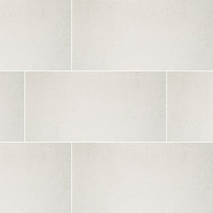 MS International Dimensions 12" x 24" Matte Glacier