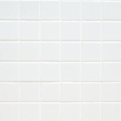 MS International Domino 12" x 12" Matte 6mm 2" x 2" White