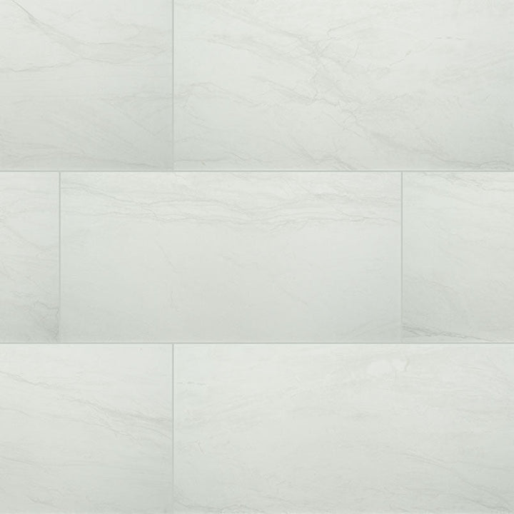 MS International Durban 12" x 24" Polished White