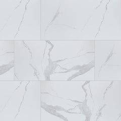 MS International Eden 24" x 48" Polished Statuary