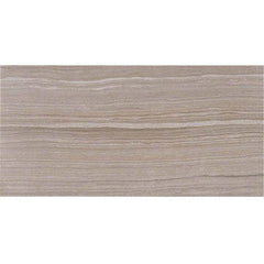 MS International Eramosa 12" x 24" Matte Silver