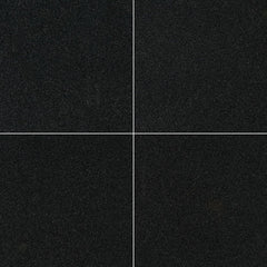 MS International Natural Stone Granite 24" x 24" Polished Premium Black