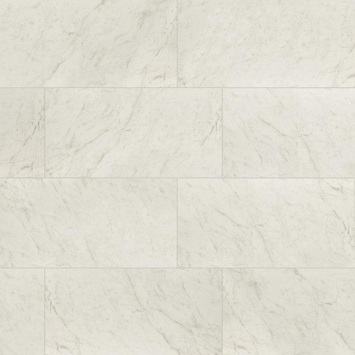 MS International Kaya 12" x 24" Polished Carrara Bianco