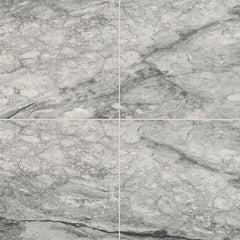 MS International Kaya 24" x 24" Polished Onda Gray