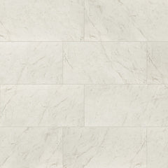 MS International Kaya 24" x 48" Matte Carrara Bianco