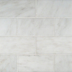 MS International Natural Stone Marble 3" x 6" Arabescato Cararra