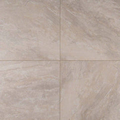 MS International Onyx 24" x 24" Polished Grigio