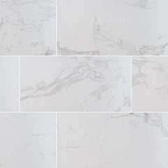 MS International Praia 24" x 48" Matte 9.6mm Carrara