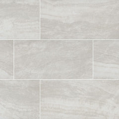 MS International Praia 24" x 48" Polished 9.6mm Grey