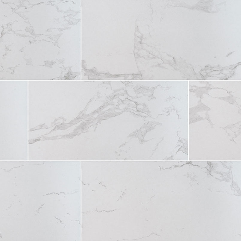 MS International Praia 24" x 48" Polished 9.6mm Carrara