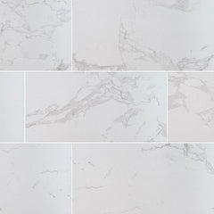 MS International Praia 24" x 48" Polished 9.6mm Carrara