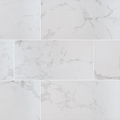 MS International Praia 12" x 24" Polished 8.8mm Carrara