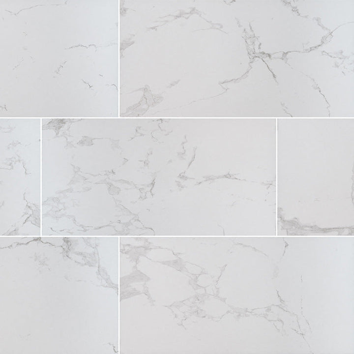 MS International Praia 24" x 48" Matte 8.1mm Carrara