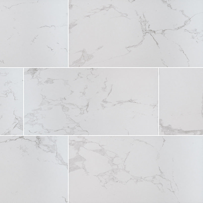 MS International Praia 24" x 48" Polished Carrara